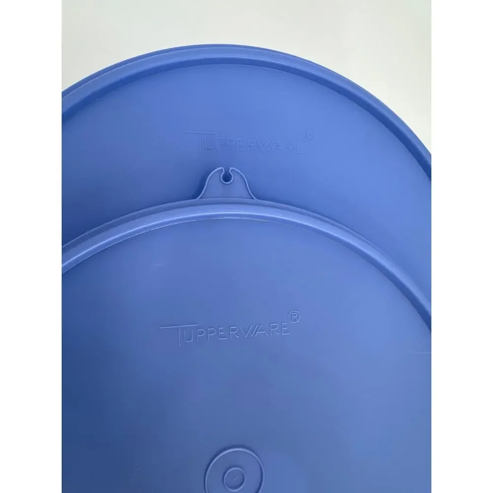 vintage Tupperware jel-ring jello mold purple aqua and clear